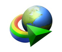 Internet Download Manager 6.38.17.2绿色版